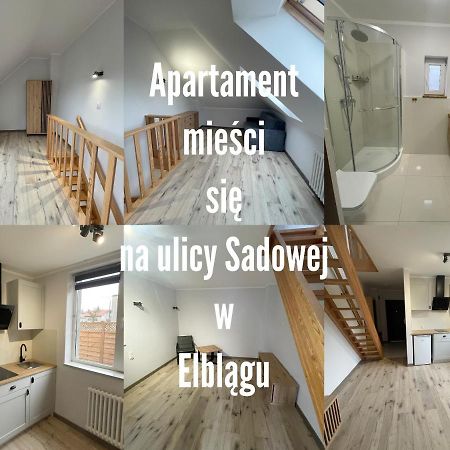 Królewiecka 115 Elbląg Exterior foto